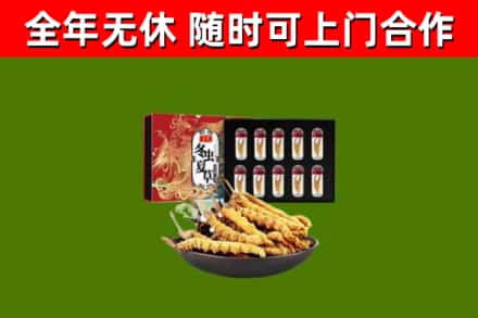 荆州市回收冬虫夏草价格